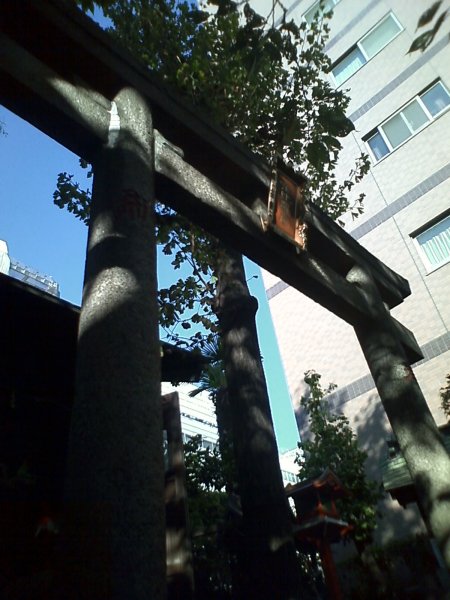 ���X�_�В���