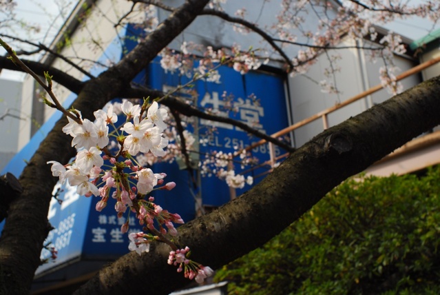 ���X�_��