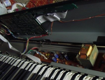 ���̓X�J�X�J